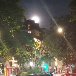 bonne année (à moi même)