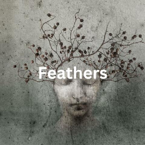 Feathers