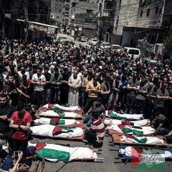 Perfect Example (Palestine)