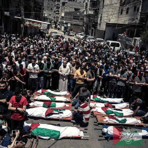 Perfect Example (Palestine)
