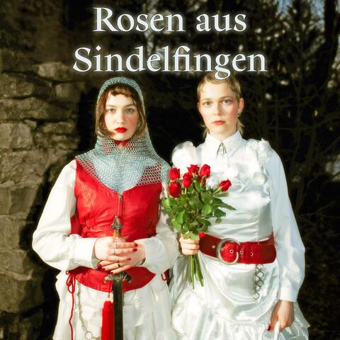 Rosen aus Sindelfingen