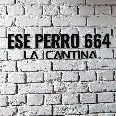 La Cantina (feat. Lokotes Tijuaneros)