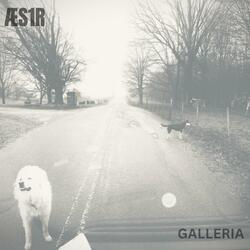 Silence is pretty cool (you should try it sometime)