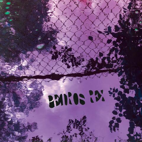 Funky