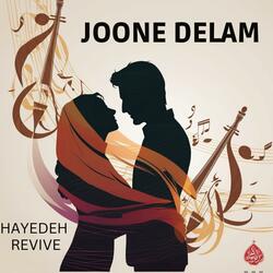 Joone Delam (feat. Moein)