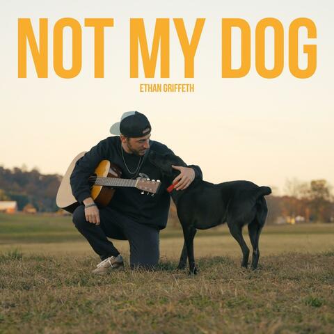 Not My Dog