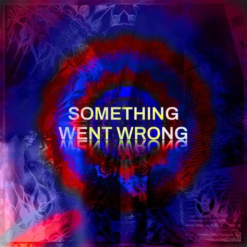 SOMETHING WENT WRONG