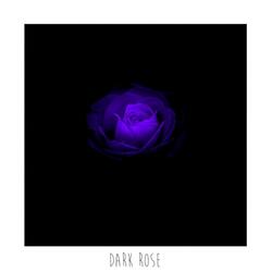 Dark Rose