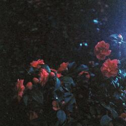 may (sped up)