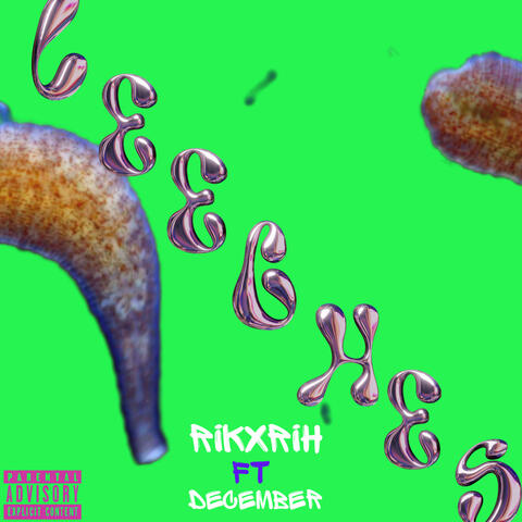 Leeches