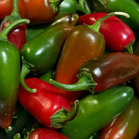 Home Grown Peppers