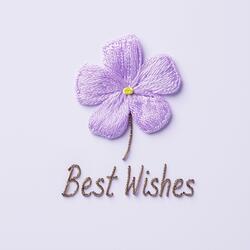 Best Wishes