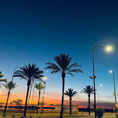 Decir la verdad a medias no es la verdad