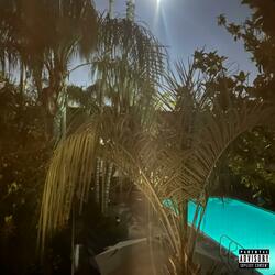 Ireallywantto (Prod.Rookie Remix)