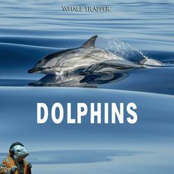 Dolphins Swimming in the Sky Reprise