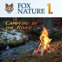 Campfire by the River (January, 2025)