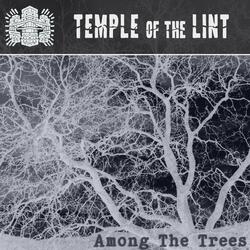 Among The Trees