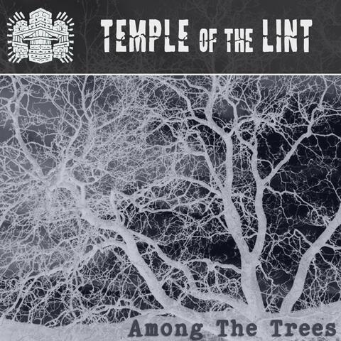 Among The Trees