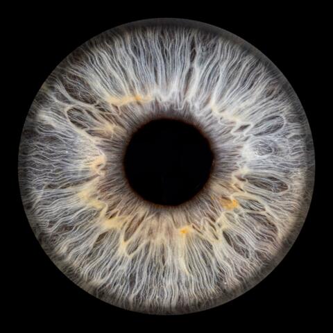 Through My Eyes (Instrumental)