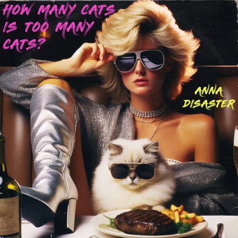 How Many Cats Is Too Many Cats?