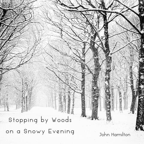 Stopping by Woods on a Snowy Evening