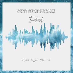 Seni Seviyorum (Turkish)