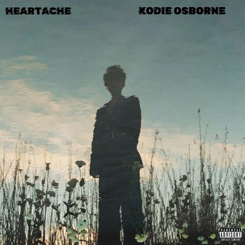 Heartache