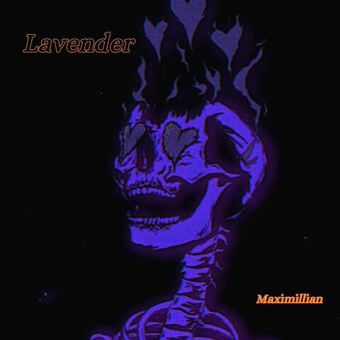 Lavender