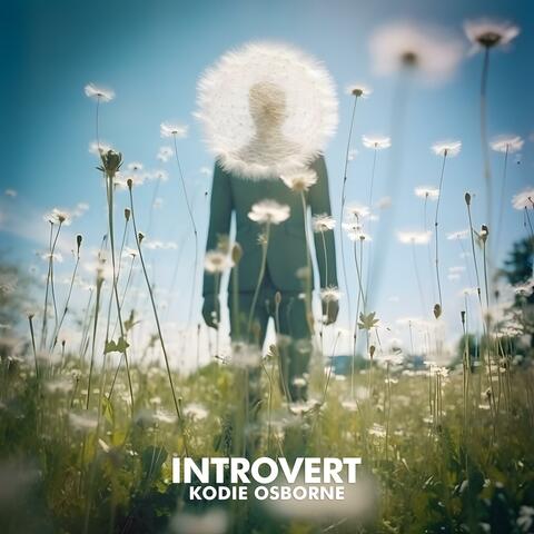 Introvert
