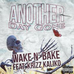 Another Day Gone (feat. Krizz Kaliko)