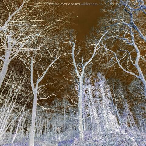 Wilderness