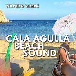 Mein Herz ist wieder auf Mallorca