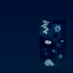 BEEN AWAY (feat. 7L1fes)