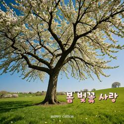 하늘 아래 벚꽃