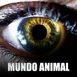 mundo animal (Demo Version)