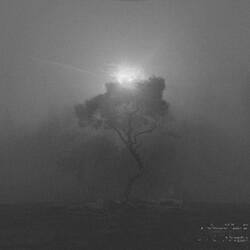 010001000100010101001110