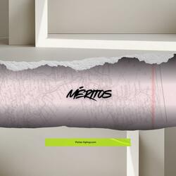 Méritos