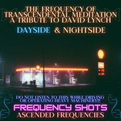 The Frequency of Transcendental Meditation A Tribute To David Lynch (NIGHTSIDE (4729Hz 8693Hz 7215Hz 8397Hz)