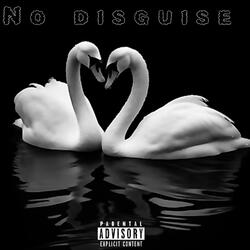 No disguise