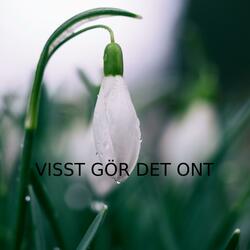 Visst Gör Det Ont