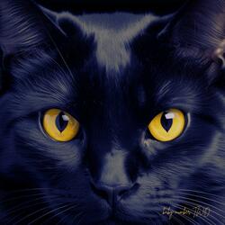 Sin compromiso (acoustic session in brazil)