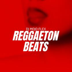 New Perreo Exotico Instrumental de Reggaeton 2025