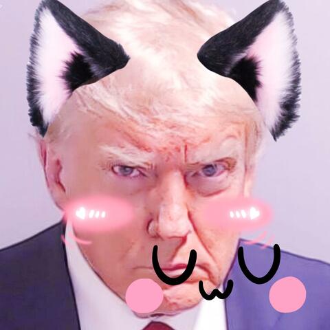 abolishing the government with the power of cuteness