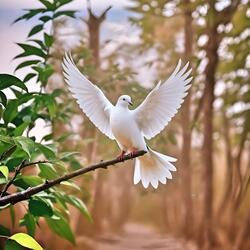 Praise The Lord, My Soul, Forevermore