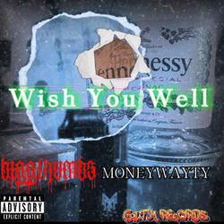 Wish You Well (feat. MoneyWayTy)