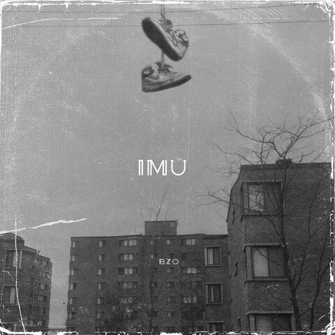 IMU