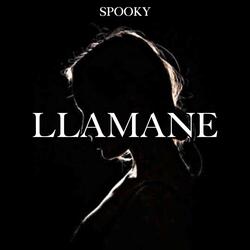 LLAMANE