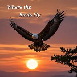 Where the Birds Fly