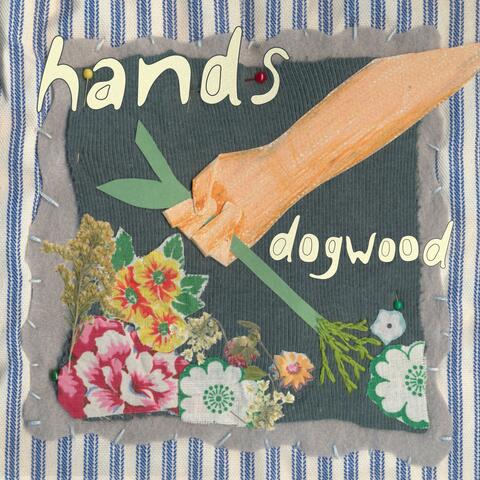 hands