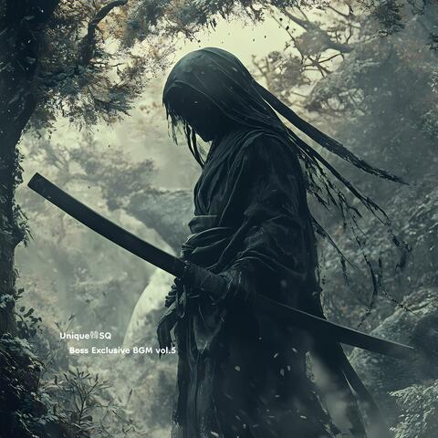 Boss Exclusive BGM vol.5